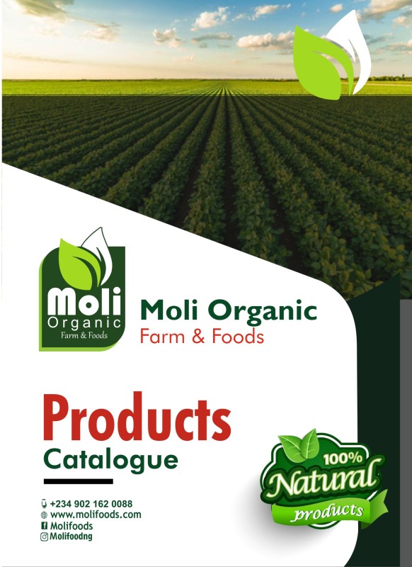 Forgot Password Page Image